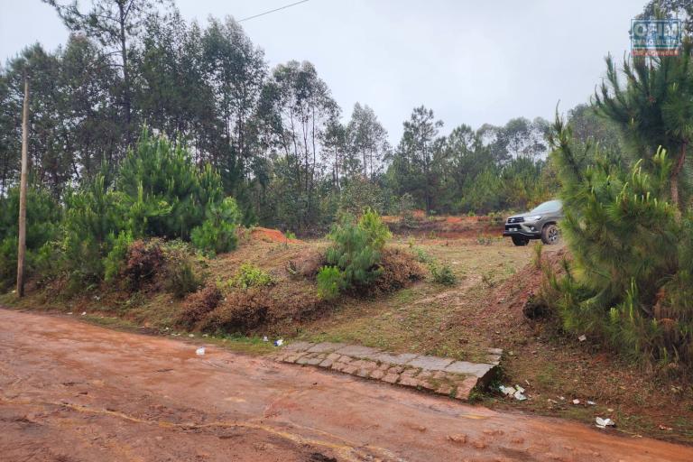Vente Terrain ANTANANARIVO (TANANARIVE) – photo 2 sur 10 – Terrain