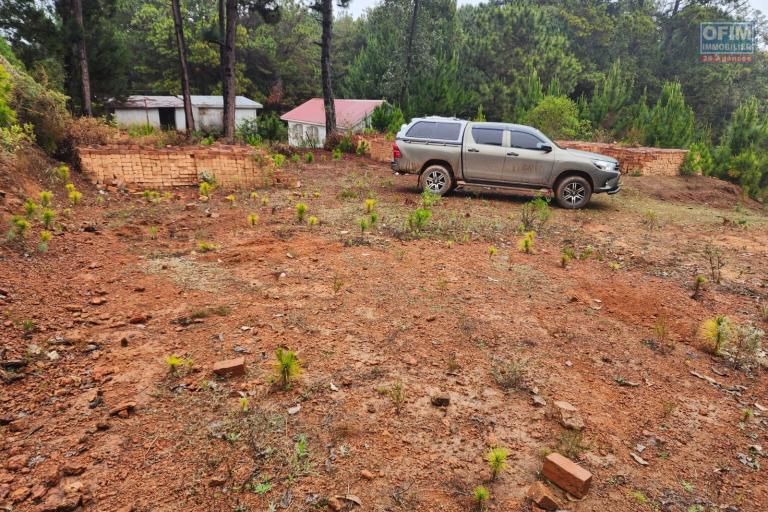Vente Terrain ANTANANARIVO (TANANARIVE) – photo 3 sur 10 – Terrain