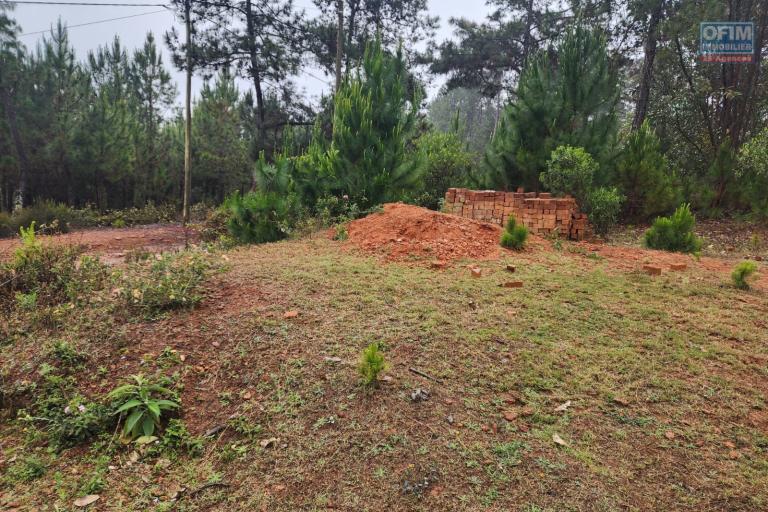 Vente Terrain ANTANANARIVO (TANANARIVE) – photo 6 sur 10 – Terrain