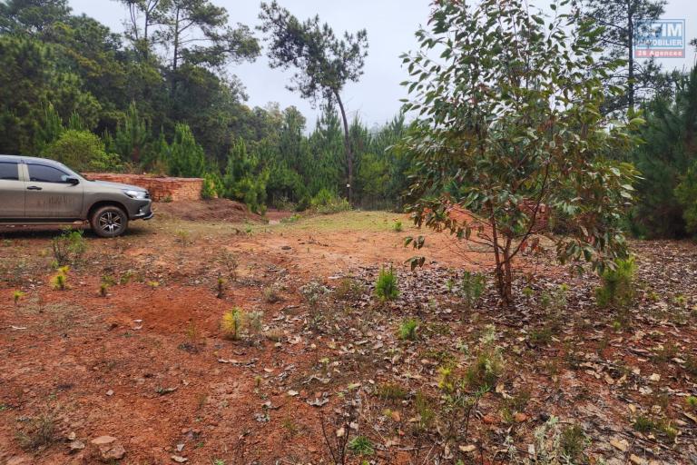 Vente Terrain ANTANANARIVO (TANANARIVE) – photo 8 sur 10 – Terrain