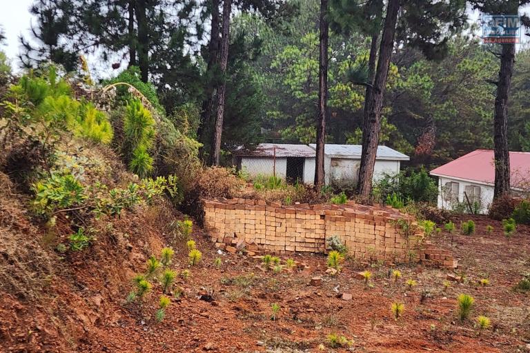 Vente Terrain ANTANANARIVO (TANANARIVE) – photo 9 sur 10 – Terrain