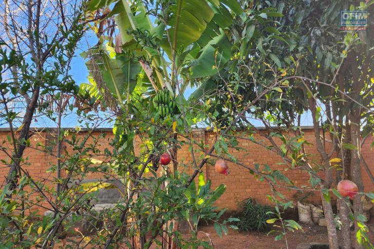 Vente Maison / Villa ANTANANARIVO (TANANARIVE) – photo 24 sur 44 – Jardin arboré