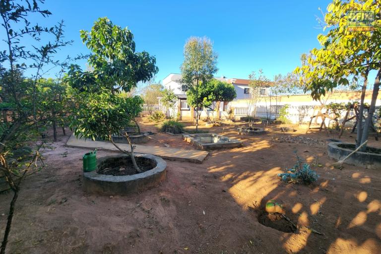 Vente Maison / Villa ANTANANARIVO (TANANARIVE) – photo 30 sur 44 – Jardin arboré