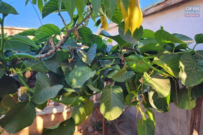 Vente Maison / Villa ANTANANARIVO (TANANARIVE) – photo 31 sur 44 – Jardin arboré
