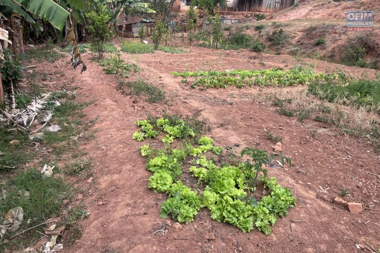 Vente Terrain ANTANANARIVO (TANANARIVE) – photo 4 sur 6 – Terrain