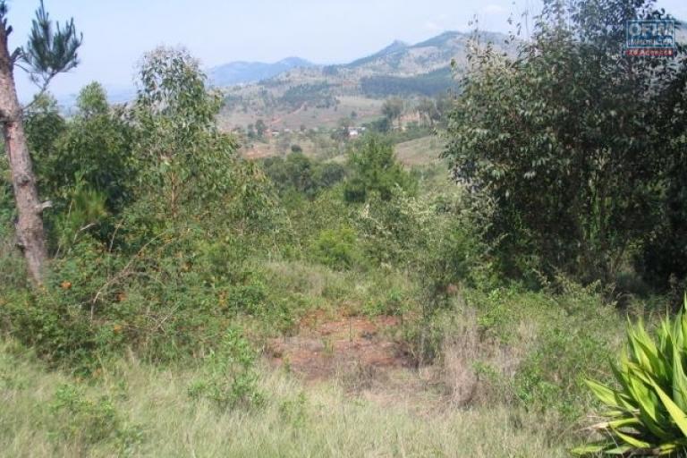 Terrain en bordure de route de l'axe RN3 sur Ambohitrabiby à 20 km du centre ville