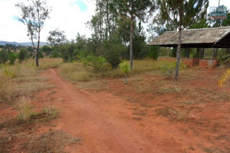 A vendre terrain de 10 000 m2 proche de la nouvelle route de Laniera