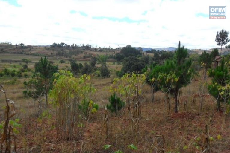 A vendre terrain de 10 000 m2 proche de la nouvelle route de Laniera