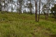 A vendre terrain de 4160 m2 à Tsimahandry - Ambohidratrimo