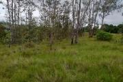 A vendre terrain de 4160 m2 à Tsimahandry - Ambohidratrimo