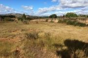 A vendre un magnifique terrain de 1 ha pour résidence secondaire à belanitra ivato
