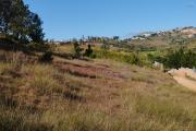 A vendre,  terrain de 2100 M2 , belle vue, facile d'accès, exposé Ouest à Manazary- Ilafy - Antananarivo