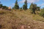 A vendre, un grand terrain de 2HA 45 A 63CA à Betsizaraina Ambatomandeha - Antananarivo