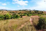 A vendre, un grand terrain de 2HA 45 A 63CA à Betsizaraina Ambatomandeha - Antananarivo