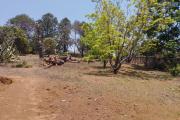 Terrain de 1HA 20 CA en bord de route en pavé à Fenoarivo Alakamisy-Antananarivo