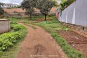 a vendre beau terrain de 2000 M2 morcelable à ivato ( non disponible )
