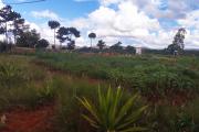 Un beau terrain de 2930m2 avec vue sur lac à Vontovorona Antananarivo