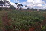 Un beau terrain de 2930m2 avec vue sur lac à Vontovorona Antananarivo