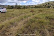 a vendre terrain de 3000M2 andakana ambohidratrimo. Contact rapide