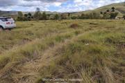 a vendre terrain de 4000M2 andakana ambohidratrimo