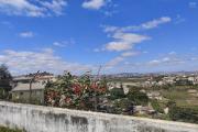  OFFRE EXCEPTIONNELLE  Grande villa F6 de 500 M2 habitables sur un terrain de 3534 M2 à Ambohibao