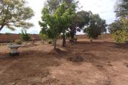 Grand terrain entièrement clôturé de 1ha 53 ca sis à Antsampandrano Ilafy