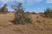 Terrain de 1240 m2, en bord de route en pavé, à Ilafy Antsampandrano-Antananarivo