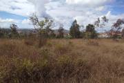 Grand terrain de 1HA 61A 18 CA, clôturé, en bord de route en pavé à Antsampandrano Ilafy- Antananarivo