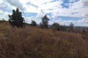 Grand terrain de 1HA 61A 18 CA, clôturé, en bord de route en pavé à Antsampandrano Ilafy- Antananarivo