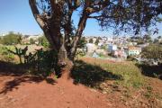 Beau terrain de 1 468 m2 entièrement clôturé à Talatamaty- Antananarivo