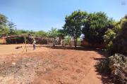 Terrain plat, prêt à bâtir, clôturé, de 1213 m2 à Amborompotsy Talatamaty- Antananarivo