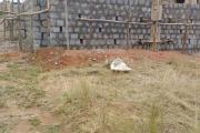Terrain plat, prêt à bâtir de 503 m2 dans un lotissement à Beravina- Ilafy