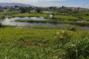 un terrain de 5325m2 en bord de route principale sur la digue