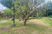 Un grand appartement T4 au rez -de jardin &agrave; Ambatobe pr&egrave;s du Lyc&eacute;e Fran&ccedil;ais - jardin-appartement-Ambatobe