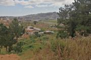 En vente un terrain de 1073m2 l&eacute;g&egrave;rement en pente sur Ambolonkandrina. Contact rapide