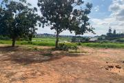 Vente d'un beau terrain de 1 000m2 à Ambohibao Antehiroka