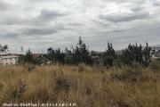 A vendre terrain de 1000M2 à miadana Alasora
