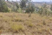 A vendre terrain de 1000M2 à miadana Alasora