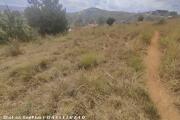 A vendre terrain de 1000M2 à miadana Alasora. Contact Mr Jacky +261 34 02 443 04