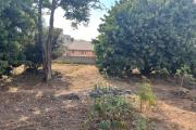 Vente d'une petite maison sur un terrain de 1 485m2 à Ambatomaro