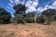 Vente d'une petite maison sur un terrain de 1 485m2 à Ambatomaro