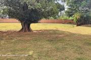 A VENDRE - Beau terrain constructible, clôturer, dans un secteur stratégique à Antanetibe Ivato, contact rapide 0340244304