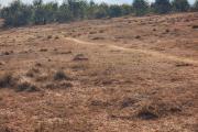Terrain viabilisé de 14 825 m2 à vendre - Manakambahiny Anosiala moins de 5 mn de la route nationale N4, contact Mr Jacky 0340244304
