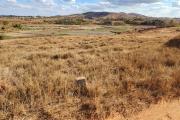 Terrain viabilisé de 14 825 m2 à vendre - Manakambahiny Anosiala moins de 5 mn de la route nationale N4, contact Mr Jacky 0340244304