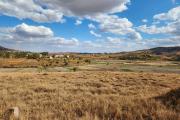 Terrain viabilis&eacute; de 14 825 m2 &agrave; vendre - Manakambahiny Anosiala moins de 5 mn de la route nationale N4, contact Mr Jacky