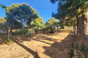 À VENDRE - MAISON F6 AVEC GRAND TERRAIN ARBORÉ DE 2166 m2 À IVATO Soavinarivo. CONTACT Mr Jacky 034 02 443 04