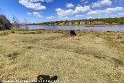 a vendre terrain exceptionnel pieds dans l'eau de 1HA contact 0340244301 Mr Lova