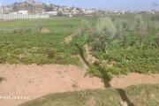A vendre terrain de 1000 M2 à Andranomena contact 0340244301 MR Lova