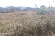 A vendre terrain 12440 M2 à Andakana ambohidratrimo à proximité immédiate de la route nationale N°4 (RN4)