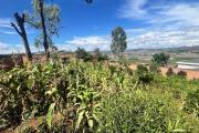 Vente d'un terrain de 596m2 &agrave; Ambatomaro Antsobolo